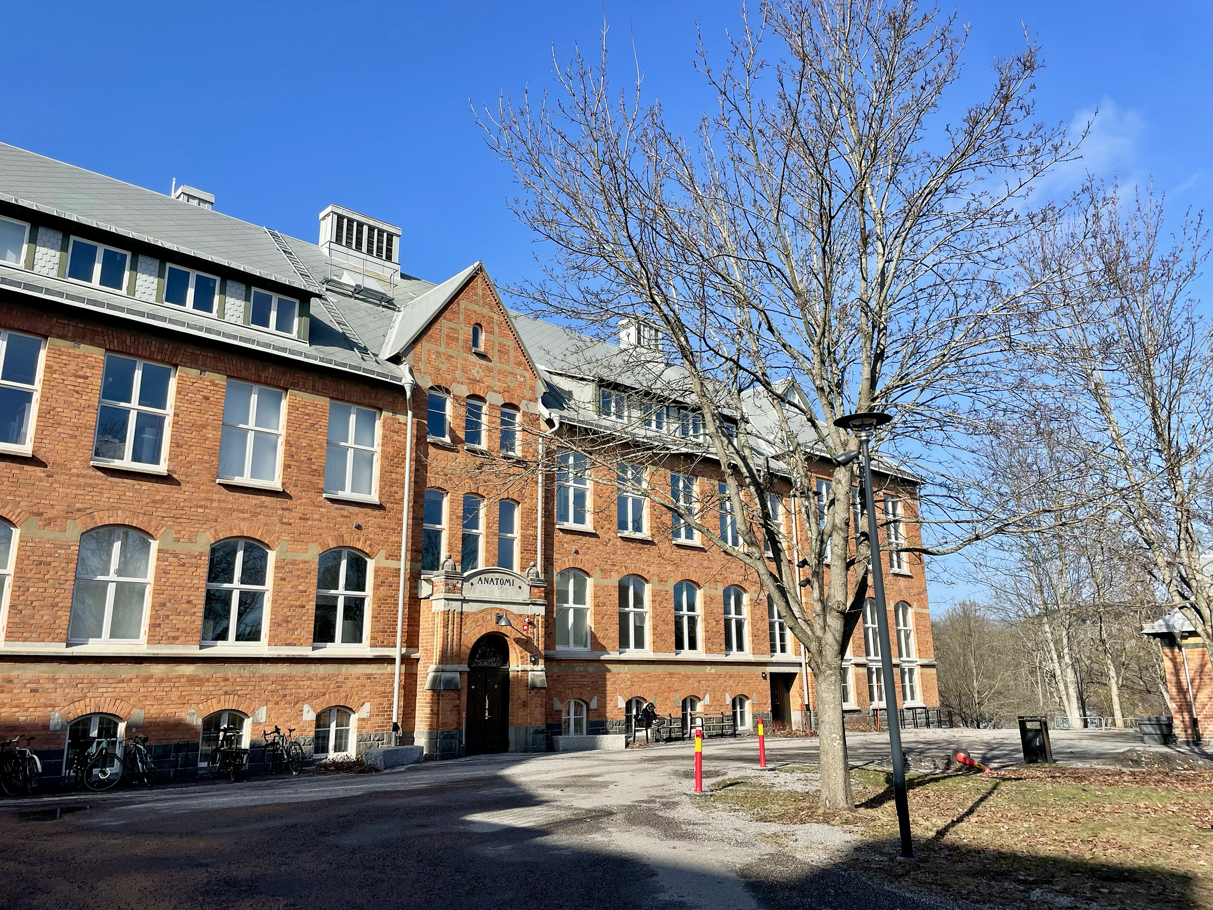 Animationsakademien 2026